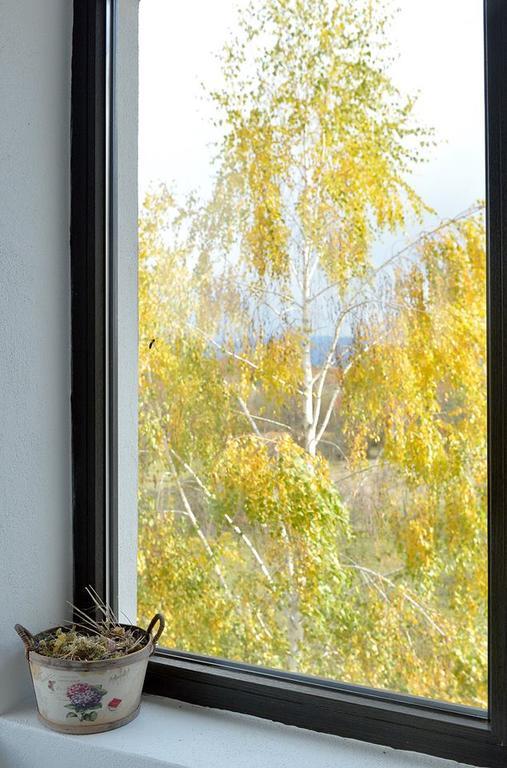 Pensiunea Gradina Ascunsa Bughea de Jos エクステリア 写真