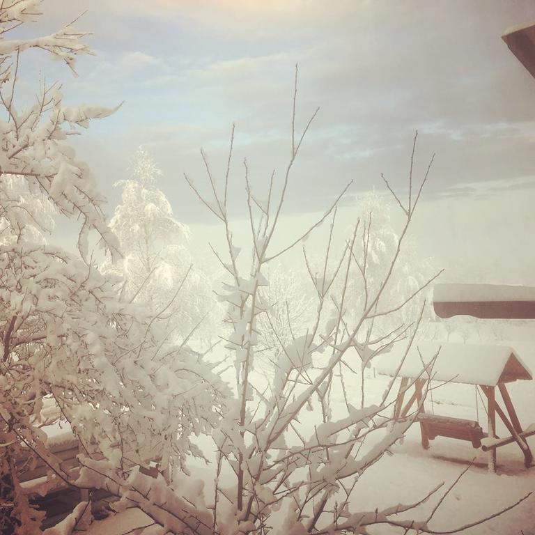 Pensiunea Gradina Ascunsa Bughea de Jos エクステリア 写真